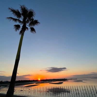 ItaniShunji's profile picture. #大阪 出身 #ピアノ を弾いて教えて  西独時代の #München に留学　 #長崎 の大学に30ン年勤める #オペラ が好きで #HildegardBehrens に夢中に #大阪弁 #deutsch はグー #français は💦 ここ #房総 の生活が好き #アクアライン 潜って #横浜 & #東京 へ