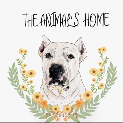 Non-profit organization
💯Linares
💯IBAN:ES1721002263410200450363
Protector specialised in PPP dogs 🥰