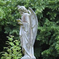 Friends of Teignmouth Cemetery(@fotc2017) 's Twitter Profile Photo