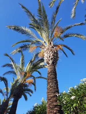 Mamx44302039's profile picture. Freundschaft und Spaß Auch