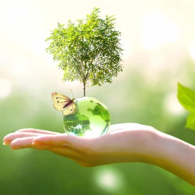 save__nature0's profile picture. 