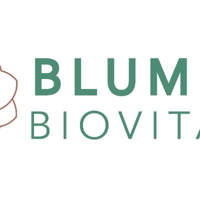 We have been working with the Blumen team for the past couple of years. They are extremely knowledgeable about the industry and have worked on creating an inno