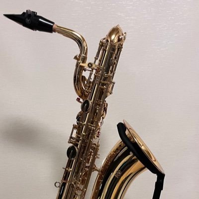 バリトンサックス🎷埼京線周辺のビッグバンド探し中/ ゲーム🎮(PS5, PC) フレ募 / 浦高吹部OB / 芝浦CSJO OB
