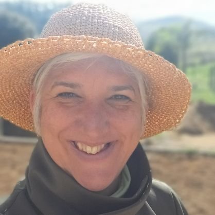 IngridStiebler's profile picture. 