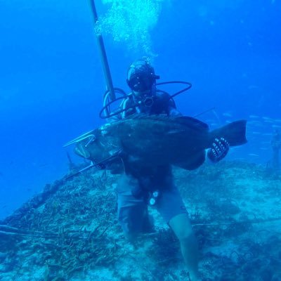 scub0ne's profile picture. Evil seeds grow naturally scuba instructor