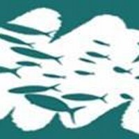 mar... (@udgmar) 's Twitter Profile Photo mar... (@udgmar) 's Twitter Profile Photo