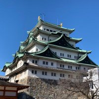 とし代表@福祉経営コンサル (@toshi_toshi7) 's Twitter Profile