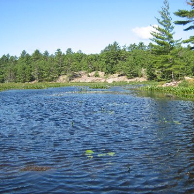 PaulWar35800635's profile picture. Broadcast Engineer