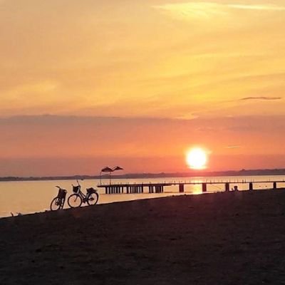 varsinan16's profile picture. 