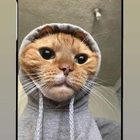 Nancy (@nancy6877262881) 's Twitter Profile