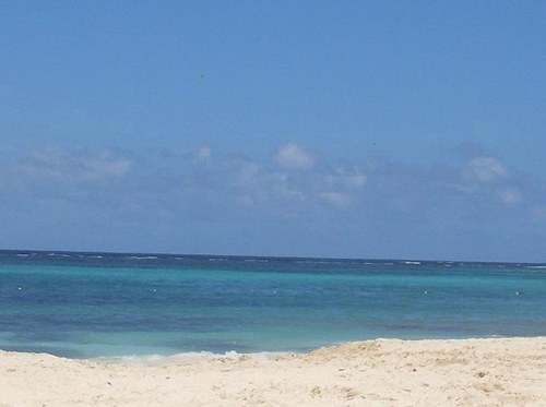 Applebum0151's profile picture. 