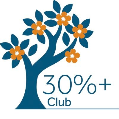 30% Club Chile Profile