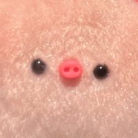 🐽(@Cheusya4) 's Twitter Profile Photo