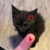 reichenbach; (@salome9942) Twitter profile photo reichenbach; (@salome9942) Twitter profile photo