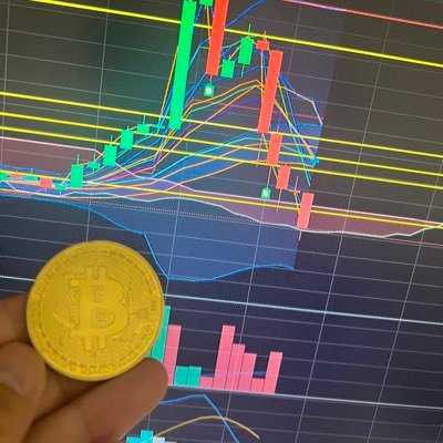 BTC/USDTをメインで取引していきます📈独学で色々勉強しながら資産を増やしていきます📉bybitでしてます☺️魔界も色々見てます👿仮想通貨で色々な人と繋がりたい🤣 お気軽に絡んでくださいね☺️