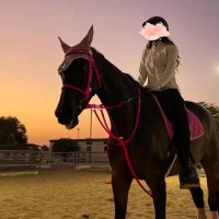 عبيّه 🐎(@ubayah23) 's Twitter Profile Photo