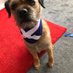 BarneyTrubbleBT (@barneytrubblebt) Twitter profile photo BarneyTrubbleBT (@barneytrubblebt) Twitter profile photo