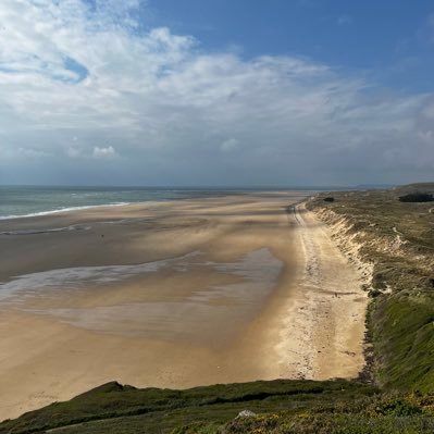 David49983's profile picture. 