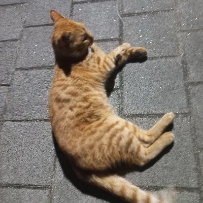 nsjds1612071's profile picture. 