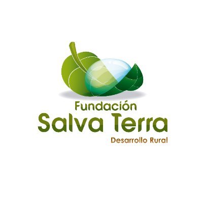 Let's build a #SustainableFuture for everyone. 🌱🤝🌈💪 Spanish account 👉@fundasalvaterra 
#GG20👉https://t.co/tZS2clA4S0