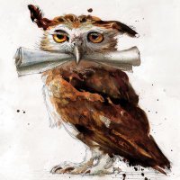 Lok Casterwill (@lokcasterwill) 's Twitter Profile