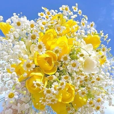 tan8p5o5p9o's profile picture. 何年も見ることに徹してきました。大好きなみなさんを心の中で大声あげて応援してきました(о´∀`о)大好きな方々はますます大好きに❤️またちょっとづつ呟いてみようかな…愛国志士に栄光あれ‼️✊