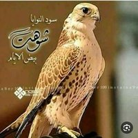 ابو صقر (@al_jareh_660) 's Twitter Profile