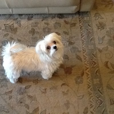JeanT52hjstyfn's profile picture. 