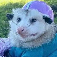 megs (@meganaleonard) 's Twitter Profile