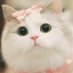 jesse (@jennefe27815567) Twitter profile photo jesse (@jennefe27815567) Twitter profile photo