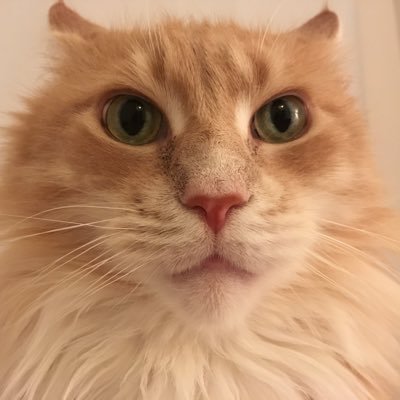 WalterPFarmer's profile picture. 