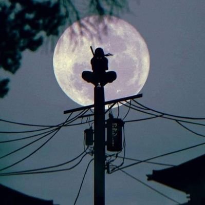 Chaos_tb89's profile picture. ShineeOT5