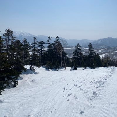 44ht5777t's profile picture. よろしくお願いします！