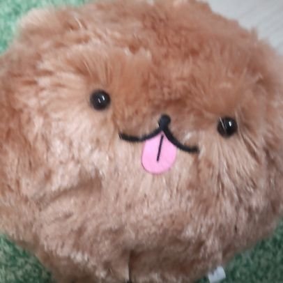 ぬん(・ω・)さんのプロフィール画像