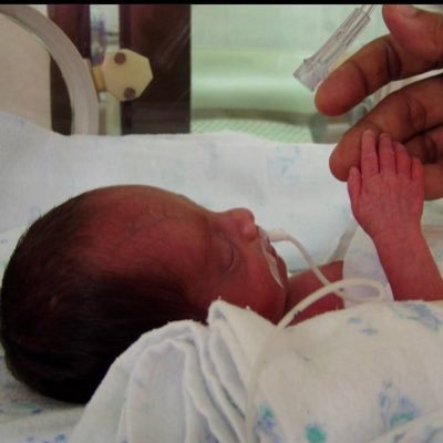 Alvez81273407's profile picture. 