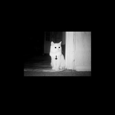 ▶︎▶︎ネジさんのプロフィール画像