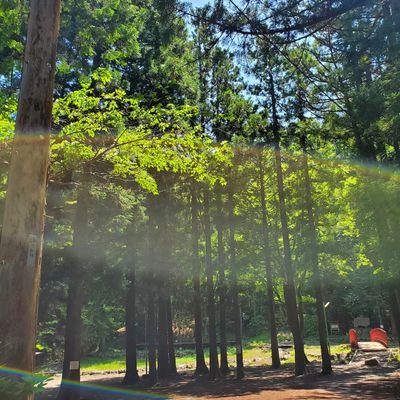 KomyoF's profile picture. 原因不明の体調不良・後遺症で、お悩みの方ご相談受付中です。お住まいの地域と現在の症状だけで遠隔対応可能です。
集団ストーカーと電磁波攻撃の被害者です。
【我支持台湾独立】