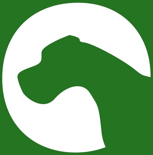 Página web con toda la información de agility en España. Resultados, guías, perros, calendario y muchas cosas más.