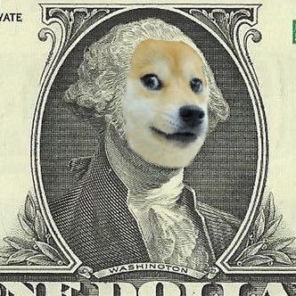 GWashingdoge Profile Picture