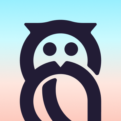 A team of highly-skilled designers, developers, & consultants who build digital products that create meaningful impact! 🦉