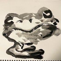 ネ卸 (@senzyu3) 's Twitter Profile