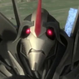 basementfoxxo's profile picture. foxboy 🐈‍⬛