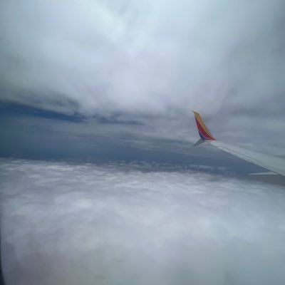 bartimcfly88's profile picture. 