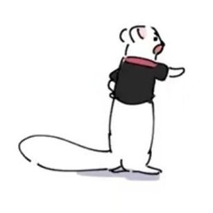 샬토さんのプロフィール画像