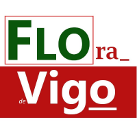 Flora de Vigo(@flora_vigo) 's Twitter Profileg