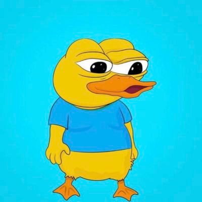 senorducker Profile Picture