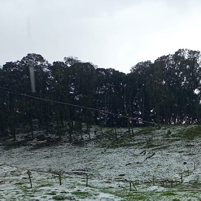 DBU0989's profile picture. 