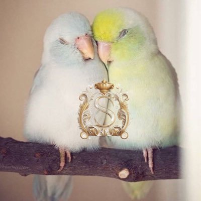 sttephanie04's profile picture. Make up Artist 💄