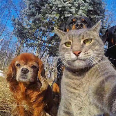 kevin1698636's profile picture. 