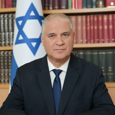 Ambassador Mattanya Cohen 🇮🇱 Profile